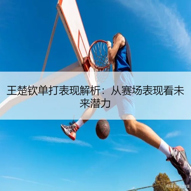 王楚钦单打表现解析：从赛场表现看未来潜力